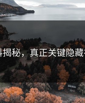 91爆料揭秘，真正关键隐藏在这里