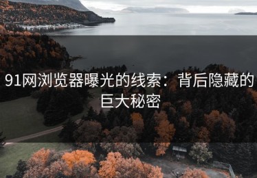 91网浏览器曝光的线索：背后隐藏的巨大秘密