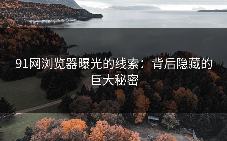 91网浏览器曝光的线索:背后隐藏的巨大秘密 91网浏览器曝光的线索:背后隐藏的巨大秘密